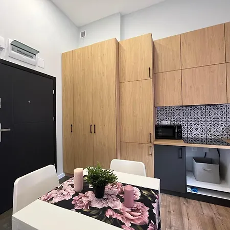 Kameralny Premium Apartment Slowackiego, Centrum, Miejsce Parkingowe, Kadzielnia Kielce Exterior photo